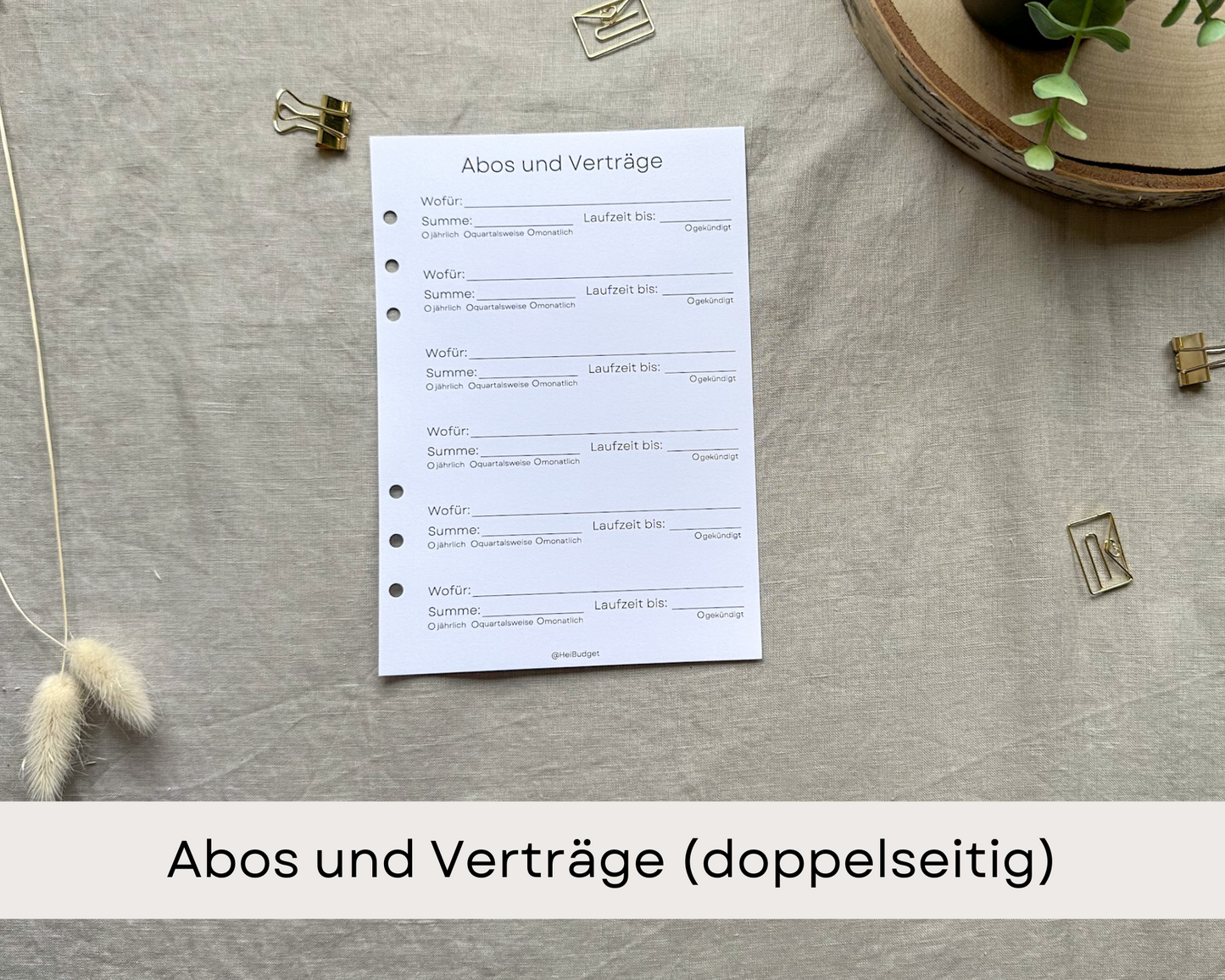 Zusatzeinlagen zum Budgetplaner