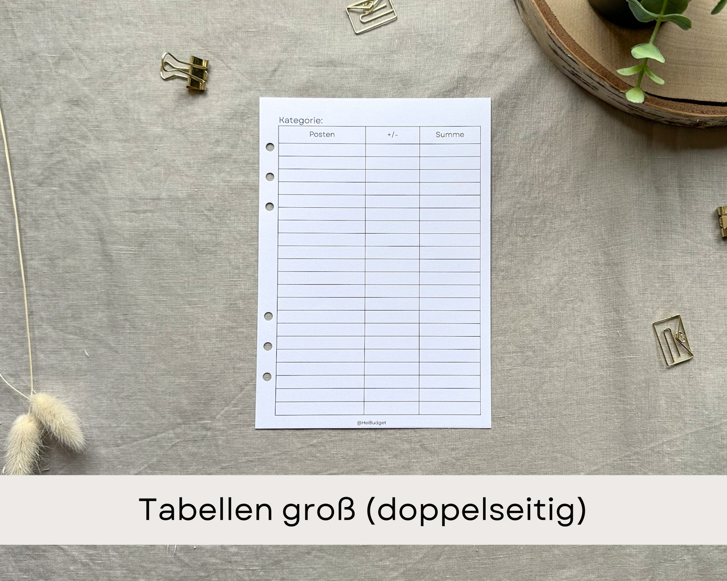 Zusatzeinlagen zum Budgetplaner
