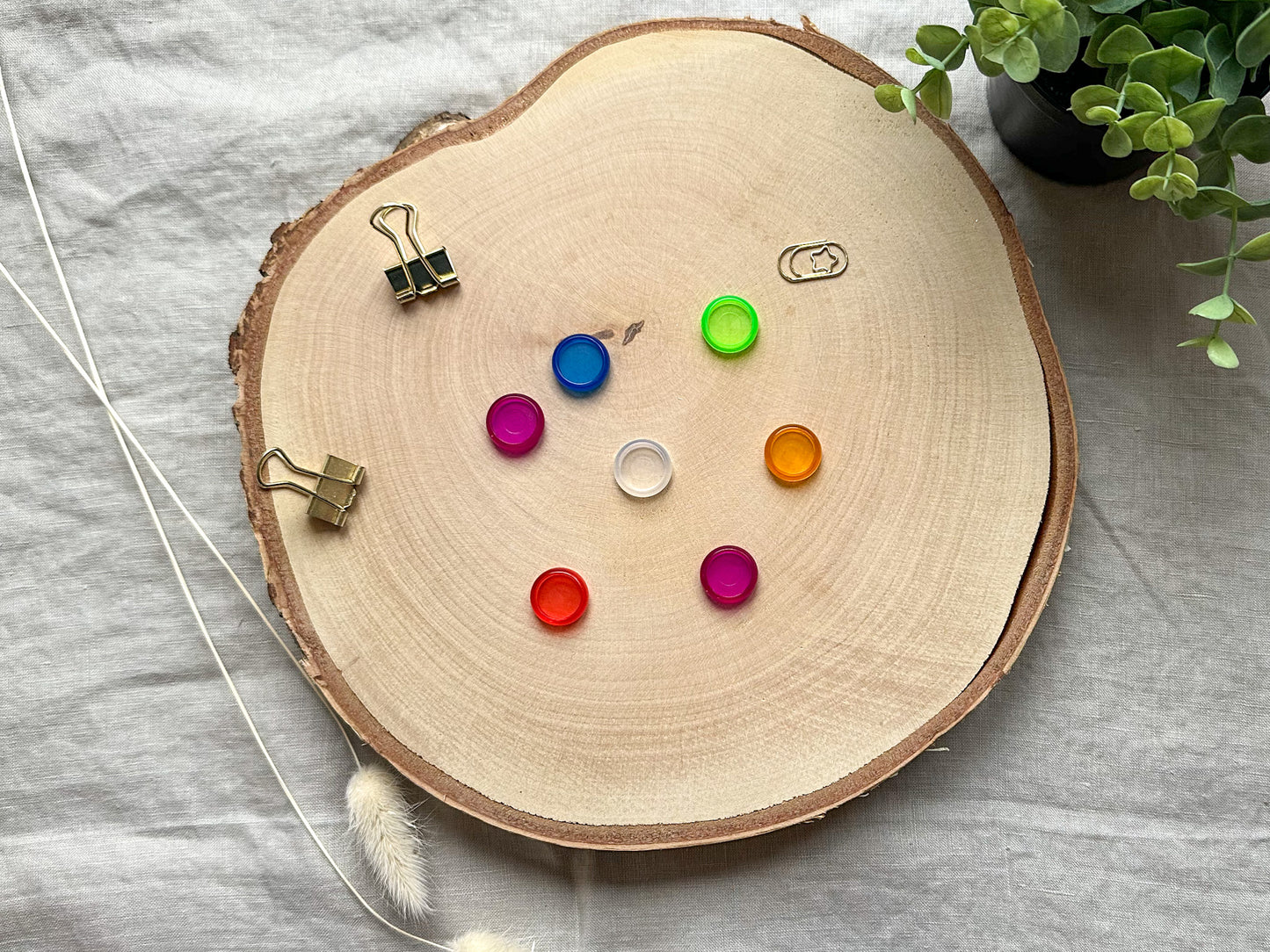 bunte Ringe für Discbound System