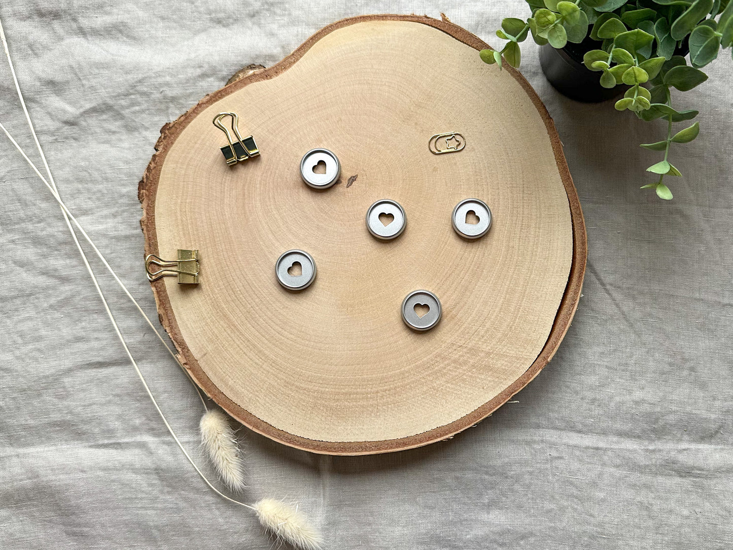 silberfarbene Ringe für Discbound System