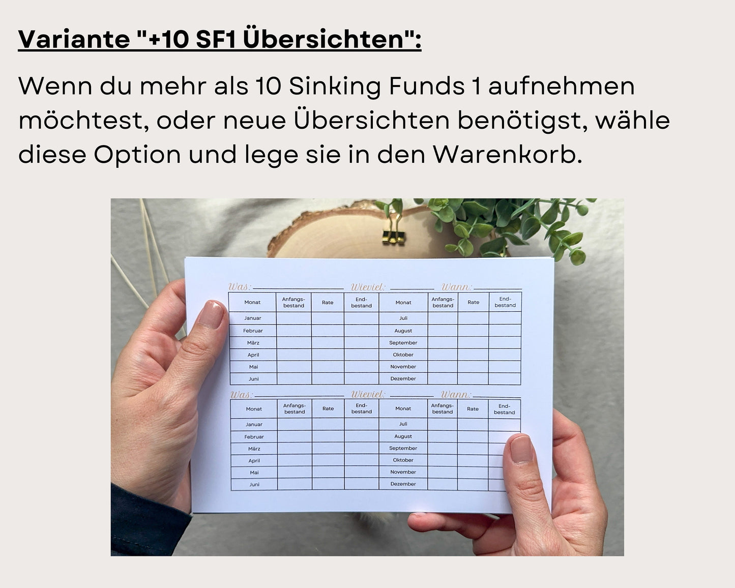 Sinking Funds 1 Übersicht personalisierbar A5