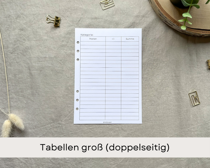 Zusatzeinlagen zum Budgetplaner